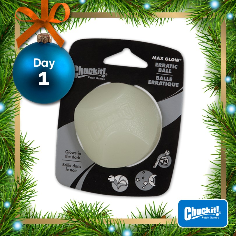 Chuckit! Christmas giveaway 